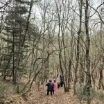 Η ομάδα προχωρά σε αυθεντικό χειμωνιάτικο σκηνικό στον Πάρνωνα. Χειμωνιάτικο τοπίο στον Πάρνωνα με ξερά δέντρα και την ομάδα στο μονοπάτι