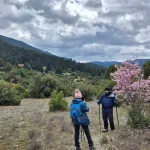 Μια στάση για να χαζέψεις το τοπίο και να απολαύσεις την ομορφιά της φύσης. Ορεινό τοπίο στο Μαίναλο με πεζοπόρους και ανθισμένο δέντρο μέσα στη διαδρομή