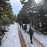 Με ήλιο και χιόνι μαζί, η διαδρομή γίνεται ακόμα πιο απολαυστική. Πεζοπορία σε χιονισμένο δασικό δρόμο στο Μαίναλο με την ομάδα σε πορεία