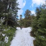 Συνεχίζοντας το μονοπάτι μέσα στο χιονισμένο τοπίο. Πεζοπορία σε χιονισμένο μονοπάτι μέσα σε δάσος στο Μαίναλο