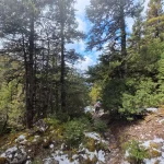 Το μονοπάτι στενεύει και γίνεται ακόμη πιο όμορφο. Πεζοπορία σε στενό μονοπάτι μέσα σε δάσος στο Μαίναλο με χιόνι