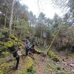Μέσα στο πιο άγριο και πράσινο κομμάτι της διαδρομής. Πεζοπορία σε δασικό μονοπάτι με βράχια και πράσινο στο Μαίναλο
