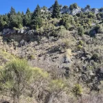 Η ομάδα κινείται στο μονοπάτι, με το τοπίο του Μαινάλου να ανοίγεται μπροστά μας. πεζοπορία Μαγούλιανα Νυμφασία