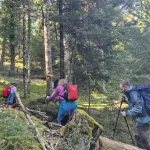 Ανάμεσα σε κορμούς και βρύα, η πορεία αποκτά έναν πιο άγριο χαρακτήρα. μονοπάτι Μαγούλιανα Νυμφασία μέσα σε ελατοδάσος στο Μαίναλο με πεζοπόρους