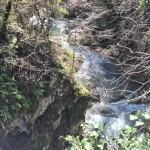 Το νερό δίνει ρυθμό στη διαδρομή, κρυμμένο μέσα στο δάσος. ρέμα με τρεχούμενο νερό ανάμεσα σε βράχια και βλάστηση στο Μαίναλο