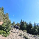 Σε πιο ανοιχτό κομμάτι, η διαδρομή αφήνει το δάσος και ανοίγει τη θέα. πεζοπορία Μαγούλιανα Νυμφασία σε ανοιχτό μονοπάτι με θέα στο Μαίναλο