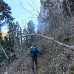 Λίγο σκύψιμο και συνεχίζουμε. πεζοπόροι περνούν κάτω από πεσμένο δέντρο σε στενό μονοπάτι