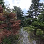 Το λιθόστρωτο μονοπάτι που διασχίζει το δάσος, ένα από τα πιο χαρακτηριστικά κομμάτια της διαδρομής. Λιθόστρωτο μονοπάτι στο Φαράγγι Αγάλης μέσα σε δάσος με έλατα και πλατάνια