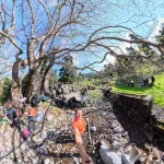 Η ρεματιά γεμίζει ζωή, με την ομάδα να απολαμβάνει τη στάση δίπλα στο νερό. Ρεματιά με νερό και πεζοπόρους σε στάση κάτω από μεγάλα πλατάνια