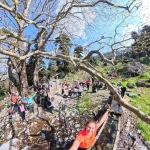 Περάσματα μέσα στο ρέμα, με την ομάδα να απολαμβάνει το πιο δροσερό κομμάτι της διαδρομής. Η ομάδα διασχίζει τη ρεματιά με νερό και πλατάνια σε ένα από τα πιο ζωντανά σημεία της διαδρομής