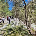 Περπατώντας δίπλα στο ποτάμι, σε ένα από τα πιο όμορφα κομμάτια της διαδρομής. Πεζοπορία προς τη Λίμνη Τσιβλού μέσα στο δάσος δίπλα στον Κράθι