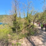 Με τη λίμνη στο πλάι μας, συνεχίζουμε χαλαρά τη διαδρομή. Η ομάδα περπατά σε δασικό δρόμο με θέα τη λίμνη και το γύρω τοπίο