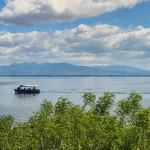 Οι παραδοσιακές πλάβες κινούνται αργά πάνω στα ήρεμα νερά της Κερκίνης, προσφέροντας μια μοναδική εμπειρία στον υγρότοπο. Παραδοσιακή πλάβα στα νερά της Λίμνης Κερκίνης