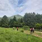 Περπατώντας στα καταπράσινα ξέφωτα του Καλλίδρομου, με το βουνό να ανοίγεται μπροστά μας σε κάθε βήμα. ανοιξιάτικη πεζοπορία στη φύση στο Καλλίδρομο