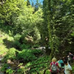 Τα πρώτα μέτρα της διαδρομής και ήδη το τοπίο σε βάζει αμέσως στο κλίμα του Τζιρού, με νερά, πυκνή βλάστηση και απόλυτη δροσιά. Πεζοπορία στον Τζιρό με καταπράσινο μονοπάτι δίπλα στα νερά του υδροβιότοπου