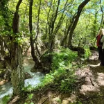 Νερά που τρέχουν δίπλα στο μονοπάτι, σκιά από τα δέντρα και εκείνη η αίσθηση δροσιάς που σε κάνει να μη θέλεις να τελειώσει η διαδρομή. Πεζοπορία στον Τζιρό