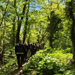 Εκεί που το μονοπάτι γίνεται ένα με το νερό και η διαδρομή θυμίζει σκηνικό βγαλμένο από παραμύθι. μονοπάτι με νερά στον Υδροβιότοπο Τζιρού κάτω από τα πλατάνια της Οίτης