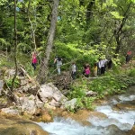 Το νερό μάς συνόδευε σχεδόν σε όλη τη διαδρομή, δίνοντας μοναδική δροσιά και ζωή στο μονοπάτι. πεζοπόροι διασχίζουν το μονοπάτι δίπλα στα τρεχούμενα νερά του Υδροβιότοπου Τζιρού στην Οίτη