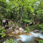 Το νερό κυλά ασταμάτητα ανάμεσα στα πλατάνια και τα έλατα, δημιουργώντας ένα από τα πιο όμορφα σημεία της διαδρομής. καταρράκτες και τρεχούμενα νερά στον Υδροβιότοπο Τζιρού μέσα στο καταπράσινο δάσος της Οίτης