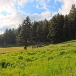 Απογευματινή πορεία μέσα στα καταπράσινα λιβάδια του Σμόλικα, λίγο πριν η ομάδα φτάσει στο καταφύγιο. Η ομάδα διασχίζει το αλπικό λιβάδι κάτω από το ορειβατικό καταφύγιο Σμόλικα