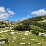 Όλη η ομάδα μέσα στο αλπικό σκηνικό η ομάδα περπατά σε αλπικό τοπίο ανάμεσα σε βράχια, χαμηλή βλάστηση και ορεινά νερά