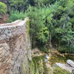 Περνώντας πάνω από το πέτρινο γεφύρι Πέτρινο γεφύρι πάνω από το ρέμα, με πυκνή βλάστηση και μικρή ροή νερού ανάμεσα στα βράχια