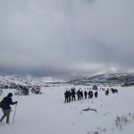 Φωτογραφία εξωφύλλου από τη χειμωνιάτικη πεζοπορία στη Λίμνη Δασίου με το BackpackOnGreece