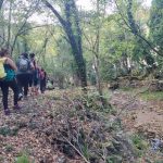 Καστανοδάσος Καρυών Πάρνωνας Καστανοδάσος Καρυών Πάρνωνας