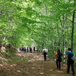 Φωτογραφία εξωφύλλου από τριήμερη πεζοπορική εξόρμηση στο Πήλιο, το Βουνό των Κενταύρων, με το BackpackOnGreece