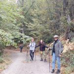 Φιλική βόλτα σε εύκολο μονοπάτι μέσα στο Καστανοδάσος. Φθινοπωρινό μονοπάτι με πεζοπόρους στο Καστανοδάσος Καρυών με το BackpackOnGreece