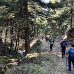 Μέσα στην καρδιά του χειμωνιάτικου δάσους. Η ομάδα σε πυκνό δασωμένο μονοπάτι του Παρνασσού