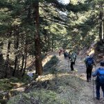 Η ομάδα σε πυκνό δασωμένο μονοπάτι του Παρνασσού