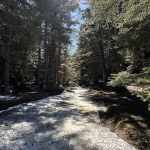 Ηλιόλουστο χιονισμένο μονοπάτι στον Παρνασσό