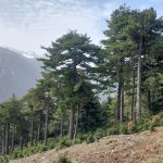Πεζοπορία με φόντο χιονισμένο βουνό στη Χαράδρα Φλαμπουρίτσας