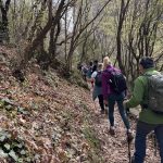 Μονοπάτι με φθινοπωρινά φύλλα στη Λίμνη Πλαστήρα Μετέωρα Σμόκοβο