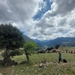 Η ομάδα του BackpackOnGreece απολαμβάνει τη θέα από ύψωμα στη διαδρομή Σπήλαιο Λιμνών Πλανητέρο